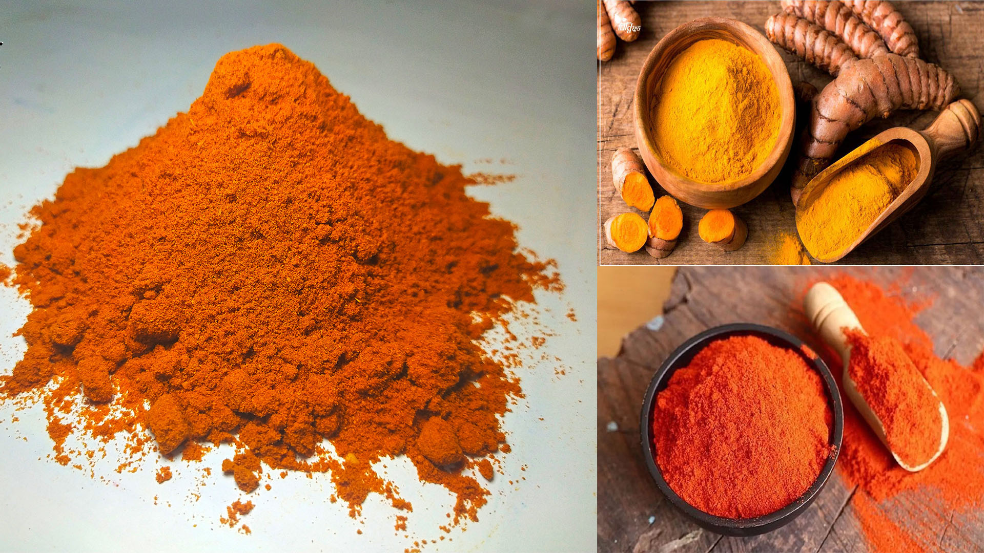 Powder. Protein powder moringa powder. Baking powder cocoa powder matcha powder collagen.moringa.alliance.applicator.aspirin. chili powder. kashmiri chili powder,chipotle chili powder,red chili powder,korean chili powder,homeade chilipowder ,ancho chilipowder, redchilipowder,chilimasalahati,masalahtaichilipowder.powdermasalahati. Turmericpowder,organicturmericpowder,wildturmericpowder,kasturiturmericpowder,bestturmericpowder,pureturmericpowder,whiteturmericpowder,turmericpowder,rurmericpowdermasalahati.masa